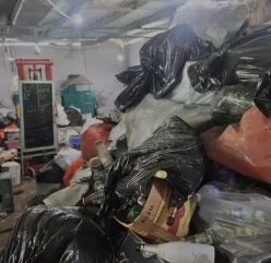 {{brizy_dc_image_alt imageSrc=