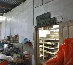 {{brizy_dc_image_alt imageSrc=